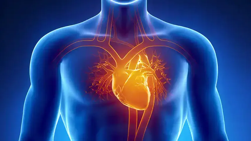 Heart Strokes: 45 ఏళ్ల లోపు వారికి గుండెపోటు రావడానికి కారణం ఇదే.. సంచలన వివరాలు వెల్లడించిన డాక్టర్..!