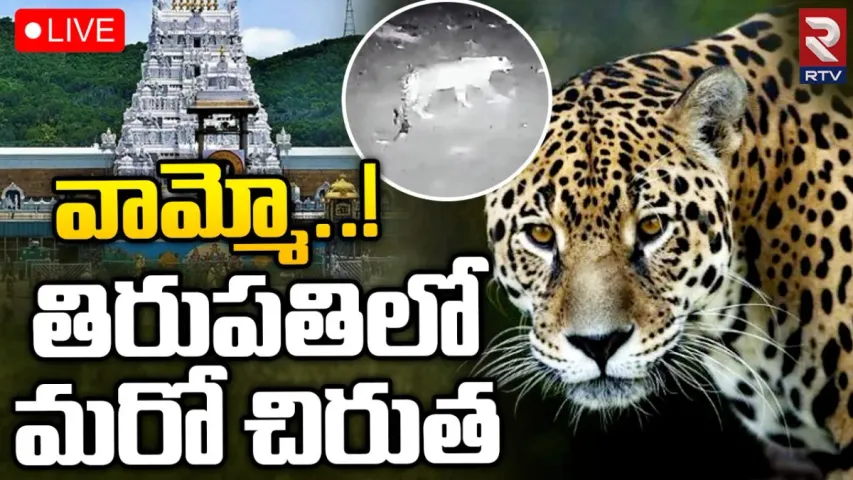 Tirupati: ఎస్వీ యూనివర్సిటీ క్యార్టర్స్‌లో చిరుత సంచారం