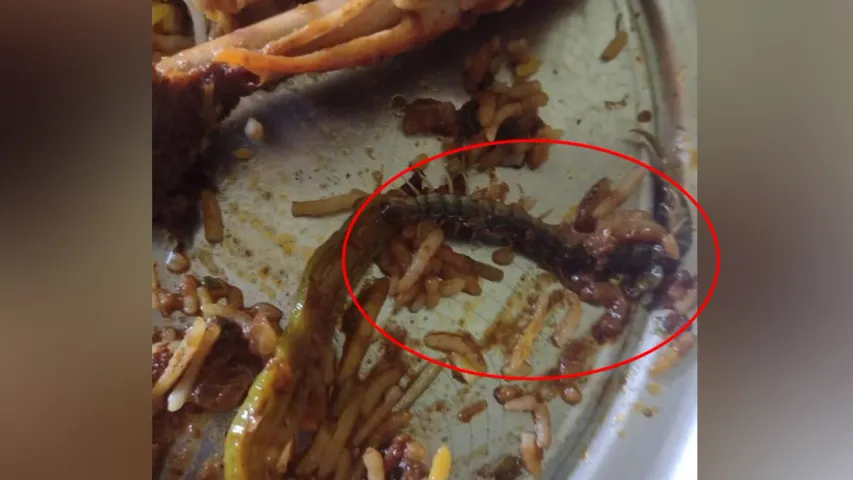 Biryani: బిర్యానీలో కాళ్ళ జెర్రీ.. ఉలిక్కిపడ్డ కస్టమర్..!