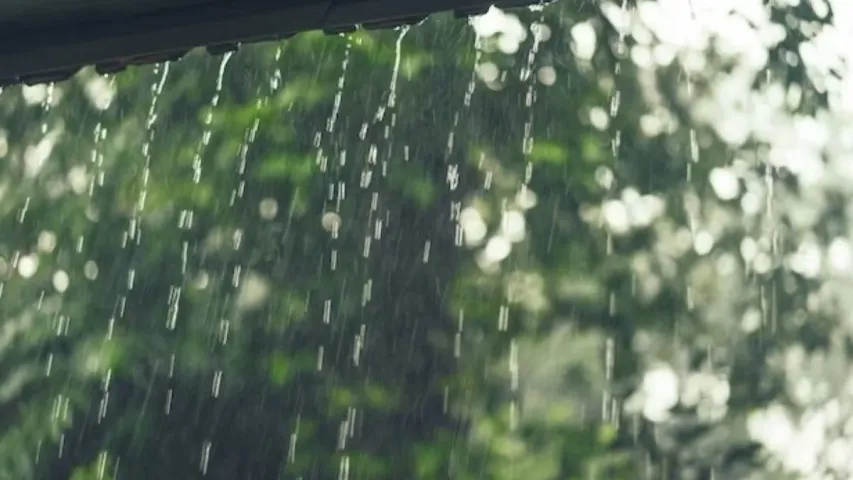 Rain Alert for Telugu states: రెండ్రోజుల పాటు ఏపీ, తెలంగాణలకు వర్ష సూచన.. మత్స్యకారులు వేటకు వెళ్లొద్దని హెచ్చరిక!