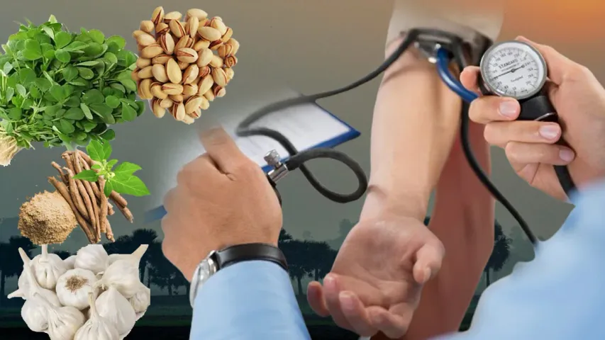Blood Pressure Diet: ఈ ఆరోగ్య ఇబ్బంది ఉన్నవారు శీతాకాలం ఈ డైట్ ట్రై చేయండి..  