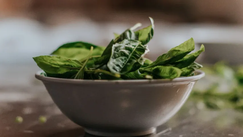 Spinach Health: పాలకూర తింటే.. ఇన్ని సమస్యలు దూరమా..!