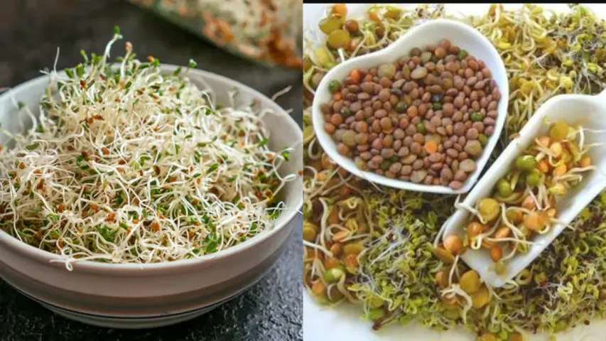 Sprouts Health: రోజు వీటిని తింటే.. ఆరోగ్య సమస్యలన్నీ మాయం..!