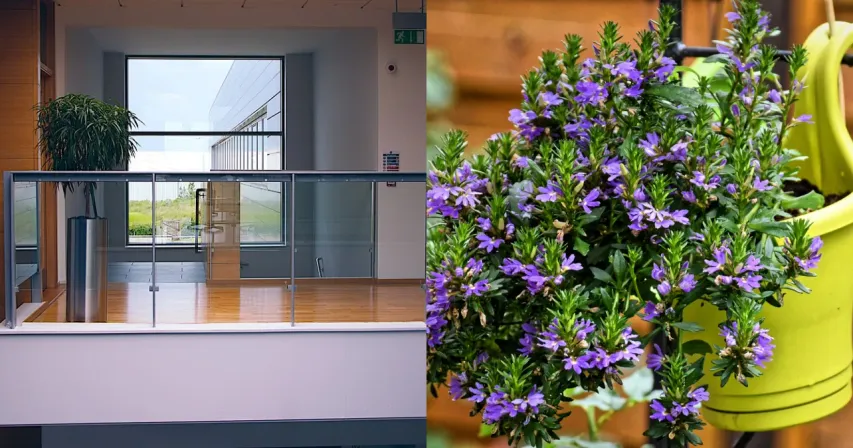 Interior Ideas: మీ ఇల్లు రిచ్ గా కనిపించాలంటే.. ఈ ప్లాంట్స్ తప్పక పెట్టండి..!