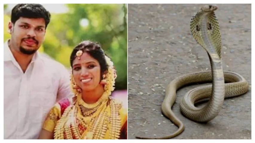 అక్రమ సంబంధం మోజులో దారుణం.. భార్య, రెండేళ్ల కూతురును పాముతో కరిపించి