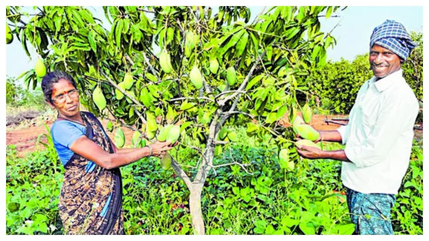రాయలసీమ రైతుకు అంతర్జాతీయ గుర్తింపు.. ‘రియల్‌ హీరోస్‌’ జాబితాలో చోటు