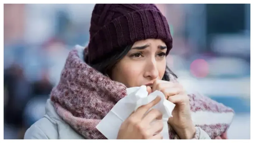 Winter Foods: చలికాలంలో వచ్చే రోగాలను  తరిమేయాలా..? అయితే ఇవి తినండి..!