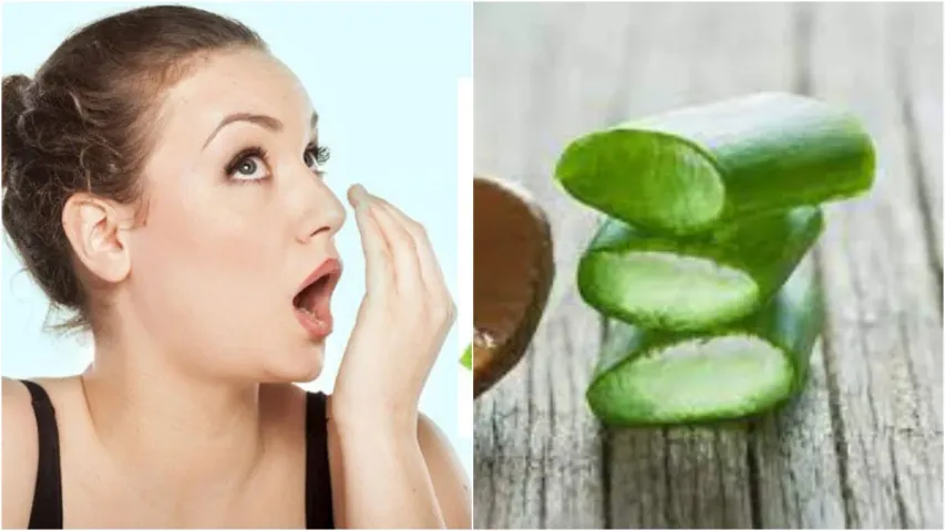 Healthy Teeth Tips: ఇలా చేస్తే మౌత్‌వాష్‌లు అస్సలు అక్కర్లేదు