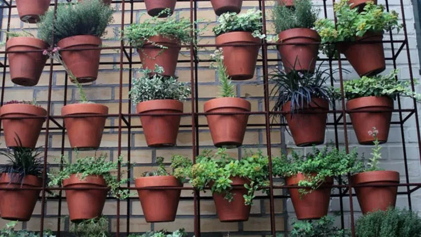 House Plants: గాలిని శుద్ధి చేసే మొక్కలు..ఇంట్లో ఉండాల్సిందే