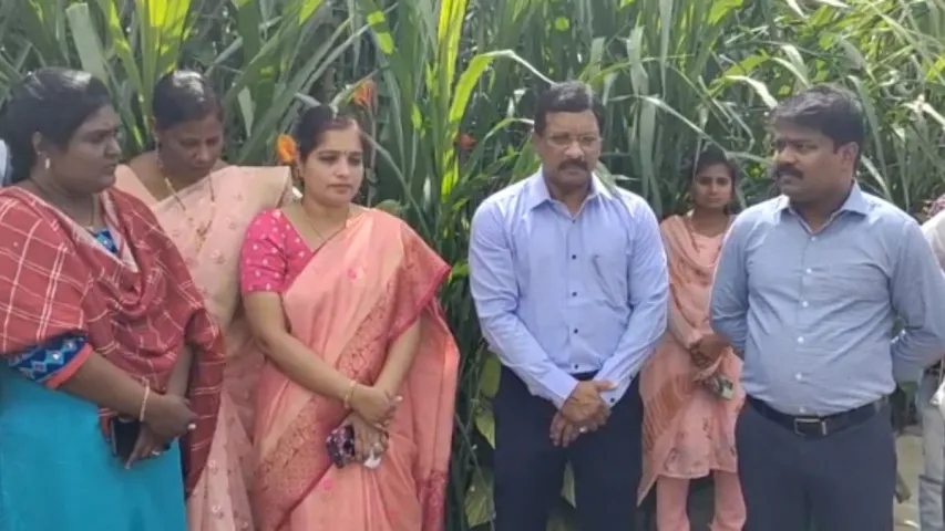 AP News: మురుగు నీటితో పంటల సాగు.. ఎన్టీఆర్ జిల్లాలో సరికొత్త విధానం
