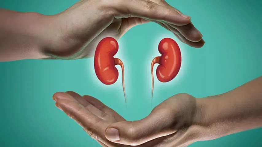 Healthy kidney: మూత్రపిండాల ఆరోగ్యానికి ఈ ఆహారాలు తీసుకోవాల్సిందే