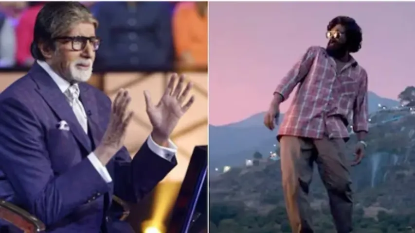 Allu Arjun-Amittab: నటించలేదు..జీవించాడు..బన్నీకి బిగ్‌ బి ప్రశంసలు!