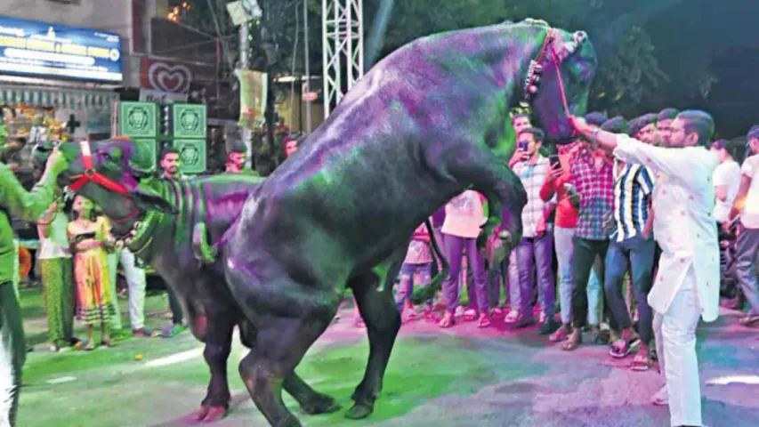 Traffic rules: హైదరాబాద్ వాసులకు అలర్ట్.. సదర్ నేపథ్యంలో ఈ రోజు ఆ ఏరియాల్లో ట్రాఫిక్ ఆంక్షలు..