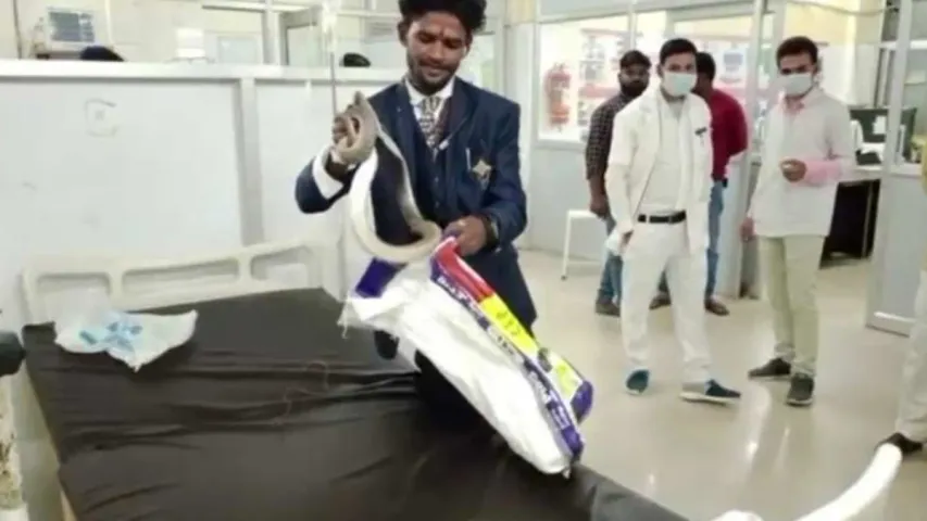 Viral: సార్‌ నన్ను కాటేసింది ఈ పామే...వెంటనే ఇంజక్షన్‌ చేయండి!