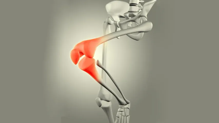 Bones Strong Foods: అలసట, బలహీనతలకు చెక్ పెట్టే లడ్డూ ఇదే!