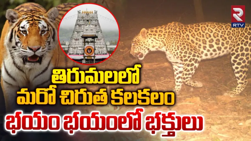 BREAKING : తిరుమలలో చిరుత సంచారం.. భక్తులకు టీటీడీ హెచ్చరికలు!