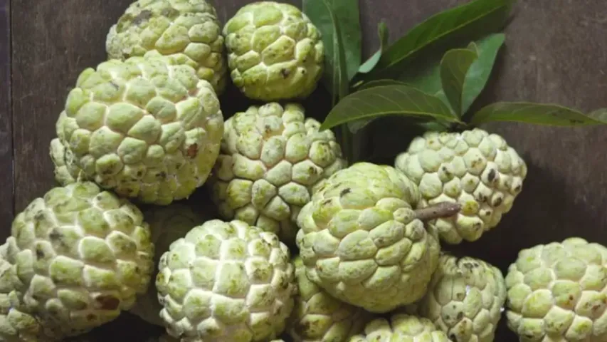 Custard Apple Health Benefits: మధుమేహం ఉన్నవారు సీతాఫలాలు తినొచ్చా?