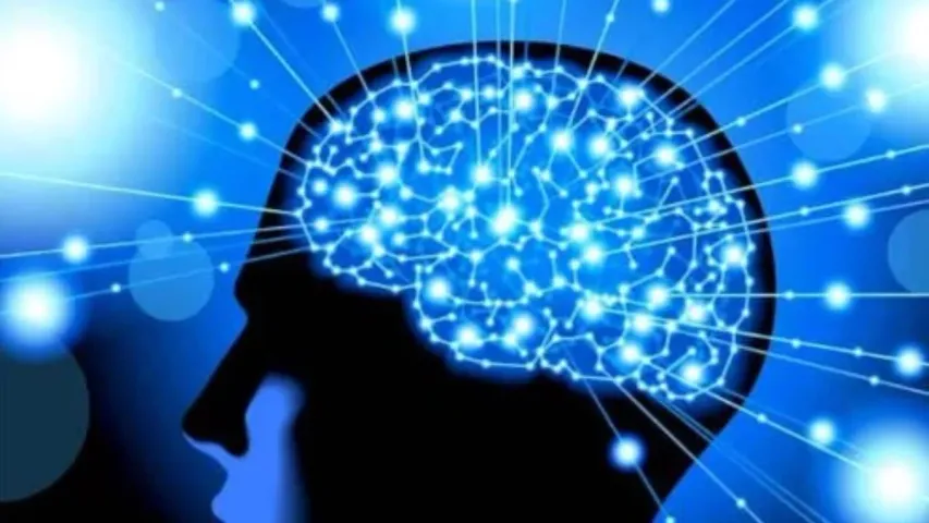 Brain Sharp Tips: ఈ చిన్న చిట్కాలతో మీ మెదడును శక్తివంతంగా మార్చుకోండి