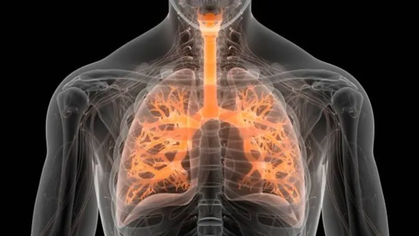 Pneumonia: చలికాలంలో ఈ సమస్యలా..నిర్లక్ష్యం చేయకండి