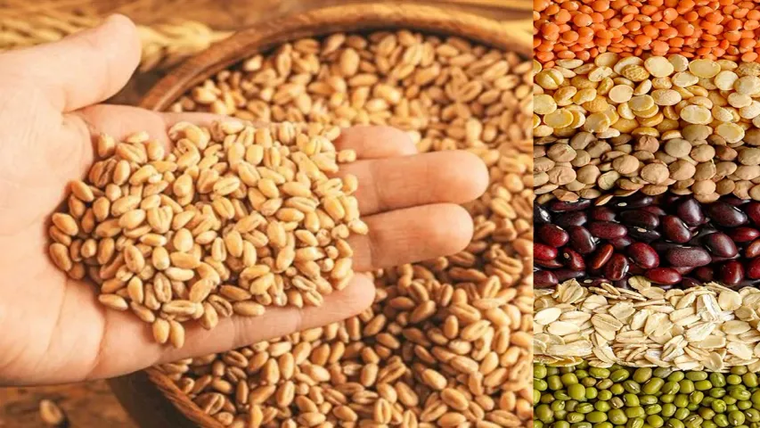 Food Inflation: పప్పులు.. గోధుమలు ధరలు పెరిగే ఛాన్స్.. ఎందుకంటే.. 