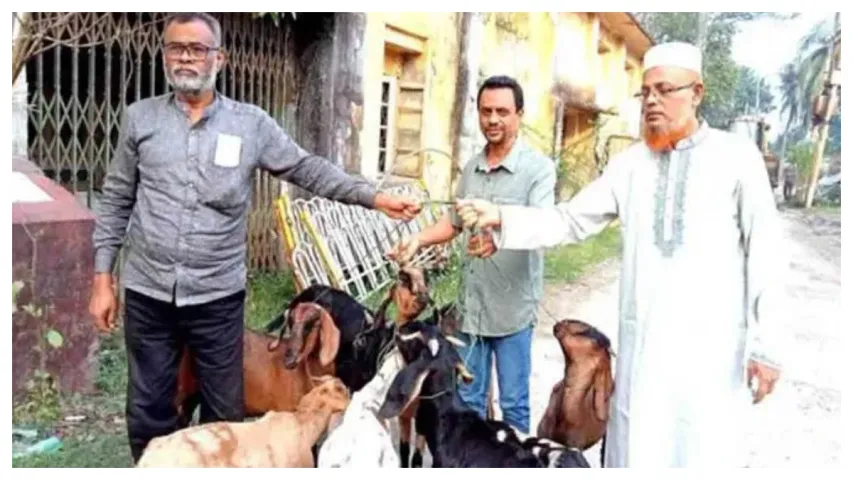 ఎట్టకేలకు జైలు నుంచి విడుదలైన మేకలు.. అవి చేసిన తప్పేంటంటే