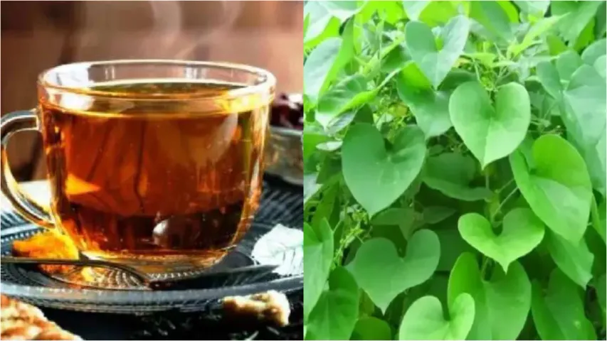 Cold Cough: జలుబు,దగ్గుకు చెక్..ఈ కషాయం ఎప్పుడైన ట్రై చేశారా..?