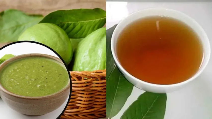 Guava Leaf Chutney: జామాకుల చట్నీ ఎలా చేస్తారు..? ఉపయోగాలు ఏంటి..?