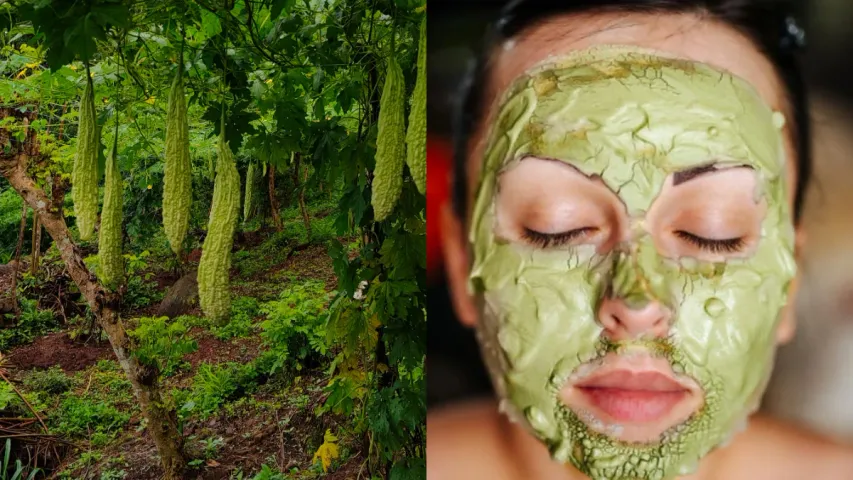 Bitter Gourd Beauty: కాకరకాయతో చర్మ సౌందర్యం..ఇలా వాడండి