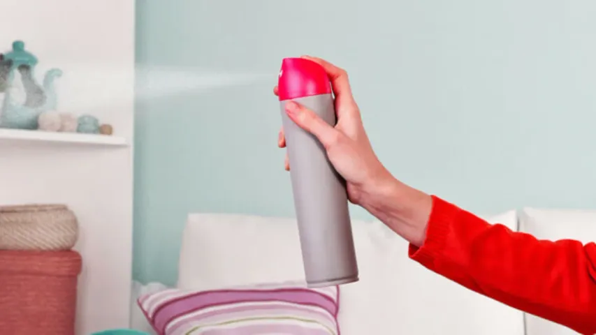 Room Fresheners Ideas: ఇంట్లో తయారు చేసిన రూమ్ ఫ్రెషనర్ల గురించి తెలుసుకోండి!