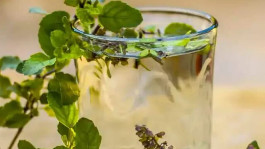 Health Tips: ఉదయాన్నే తులసి నీళ్లు తాగితే జరిగే అద్భుతాలు ఇవే