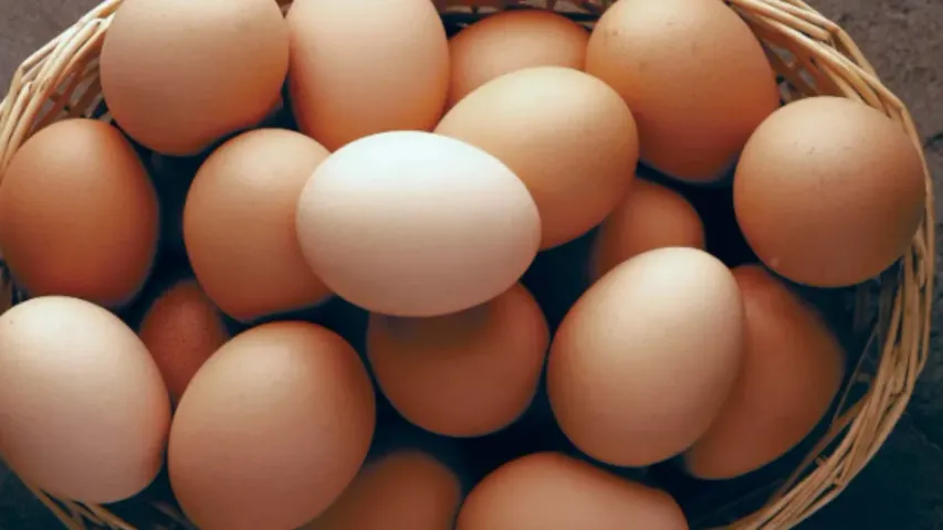 Egg Prices: కొండెక్కి కూర్చున్న కోడిగుడ్డు ధర..ఏడాది చివరిలో ఆల్ టైం రికార్డు!