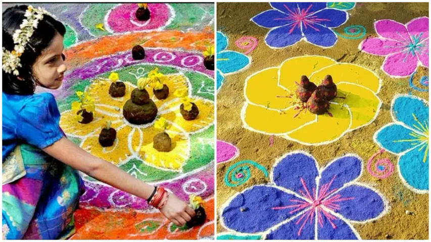 Sankranthi 2024: సంక్రాంతికి  రంగరంగుల ముగ్గులు, మధ్యలో గొబ్బెలు.. కారణమేంటో తెలుసా?