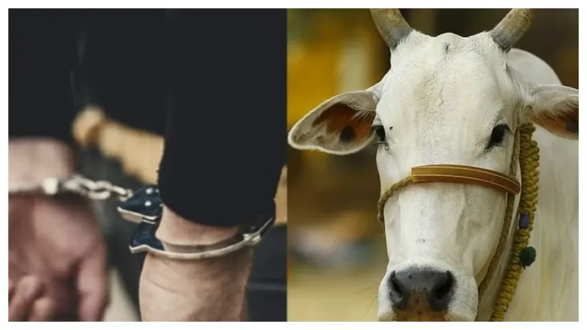 Man Rapes Cow : ఛీ..ఛీ అసలు వీడు మనిషేనా.. ఆవుపై అత్యాచారం చేశాడు..