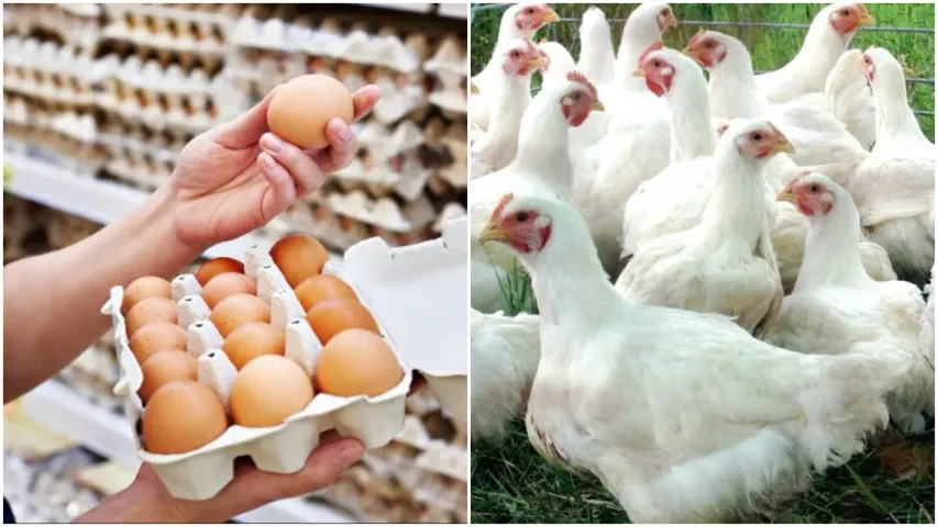 Egg Prices : వామ్మో గుడ్డు.. కొండెక్కి కూర్చున్న ధరలు!