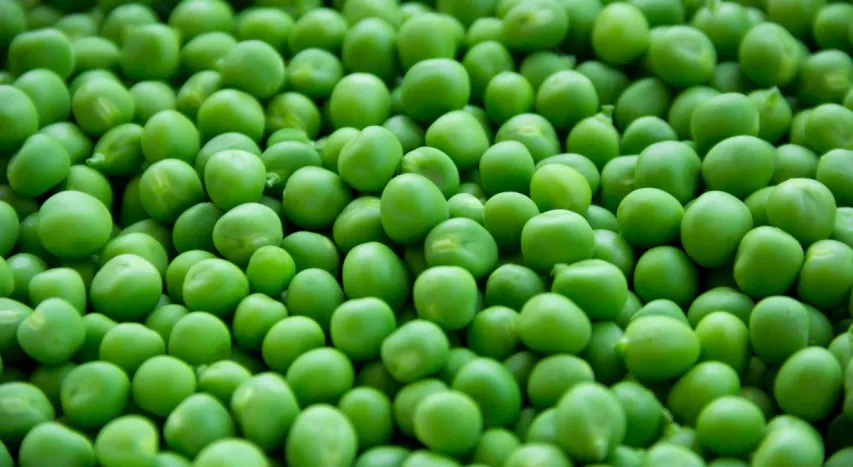 Green Peas : గ్రీన్‌ పీస్‌ తినడం వల్ల కలిగే అద్భుతమైన ప్రయోజనాలు ఇవే!
