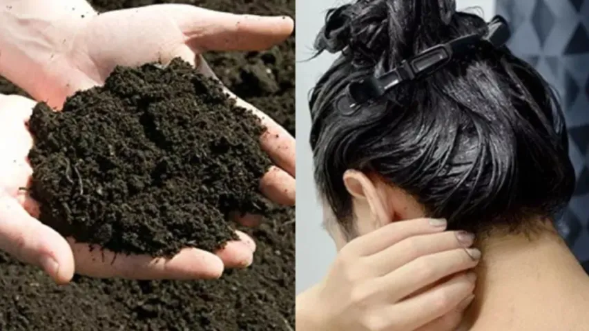 Hair Tips: అమ్మమ్మల కాలం నాటి కండీషనర్‌ ని వాడి..జుట్టుని మృదువుగా చేసుకుందామా!