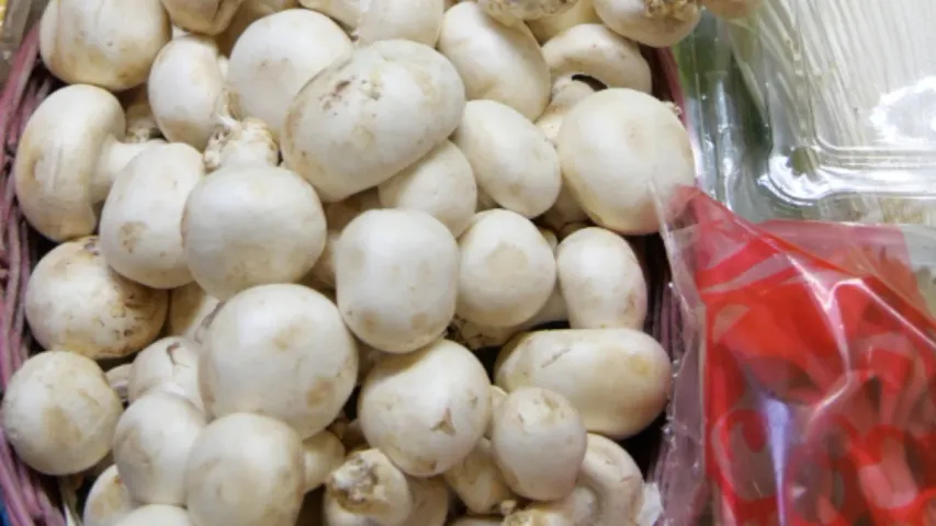  Health Tips: చిన్న పుట్టగొడుగులు...పెద్ద వ్యాధులకు గుడ్ బై చెబుతాయ్..చలికాలంలో రోజూ తింటే ఎన్ని లాభాలో..!!