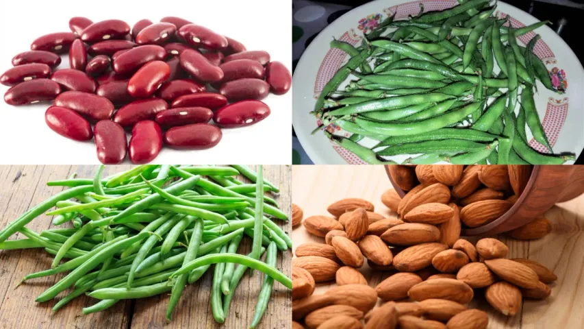 Protein Rich Veg: ఎక్కువ ప్రొటీన్ కలిగిన 5 వెజ్జీ ఆహారాలు.. ప్రతిరోజూ తినండి..!