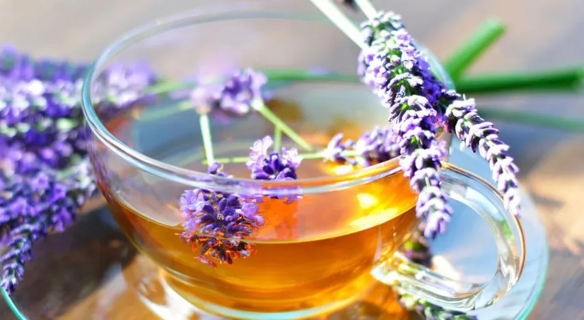 lavender tea: ఈ 'టీ'ని ట్రై చేయండి..ఎన్నో రోగాలు మాయం