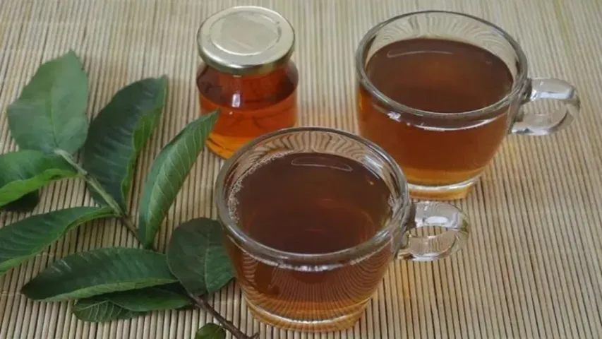 Guava Leaves Tea : శీతాకాలంలో వచ్చే సమస్యలకు ఈ ఆకుల టీతో చెక్‌ పెట్టొచ్చు తెలుసా!