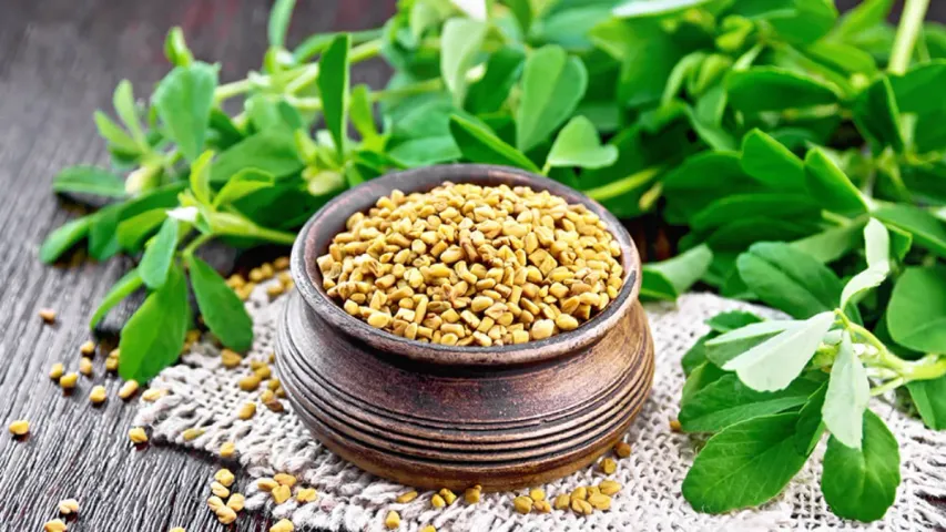Winter Fenugreek:చలికాలంలో మెంతులు ఎక్కువ తింటే జరిగేది ఇదే
