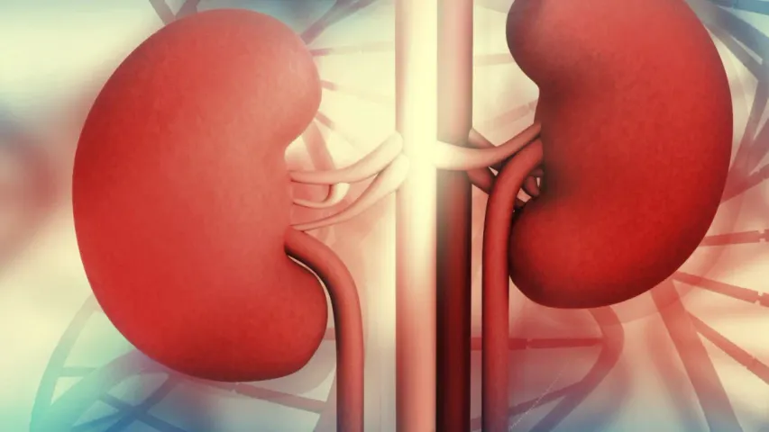 kidney Damage: నేను ఇబ్బంది పడుతున్నానని కిడ్నీ చెబుతుంది.. పట్టించుకోకపోతే అంతేసంగతులు