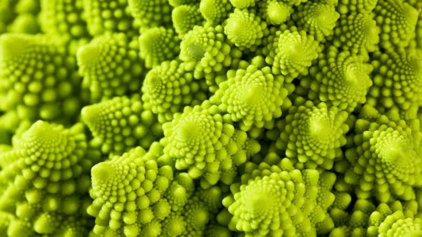 Romanesco Broccoli: రోమనెస్కో బ్రొకోలి గురించి ఎప్పుడైనా విన్నారా?