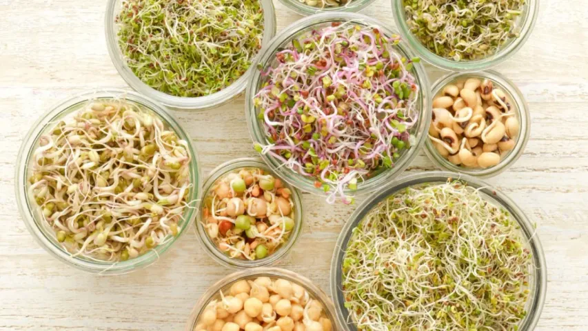 Sprouted Seeds: షుగర్, క్యాన్సర్‌కి చెక్ పెట్టే మొలకలు.. తింటే అద్భుత ప్రయోజనాలు