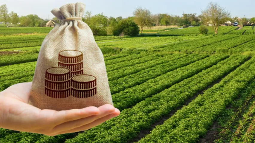 Farmer Loans: వ్యవసాయరంగంలో భారీగా పెరిగిన లోన్స్.. లక్షాన్ని మించి ఇచ్చిన బ్యాంకులు 