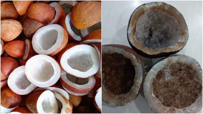 Kitchen Tips: ఎండు కొబ్బరి పాడవుతుందా..? అయితే ఇలా చేయండి
