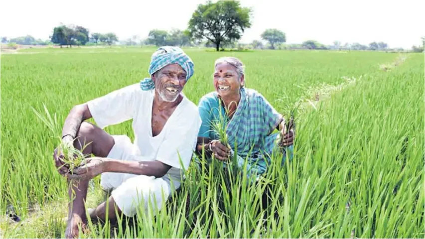 Telangana:తెలంగాణ రైతులకు గుడ్ న్యూస్..పంటలకు బీమా ఇచ్చే యోచనలో గవర్నమెంట్