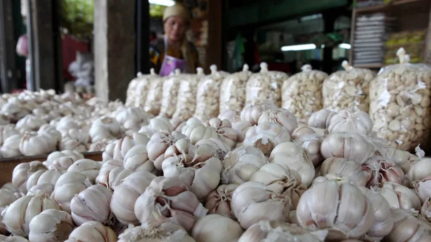 Garlic Price : అమ్మో వెల్లుల్లి ఘాటు.. మామూలుగా లేదు.. రికార్డు రేటు!