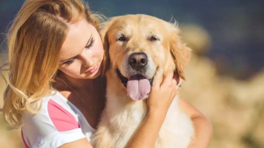 Dogs Tips : పెంపుడు కుక్కలకు వయసైపోయిందని ఎలా తెలుస్తుంది?..ఈ లక్షణాలు గమనించండి