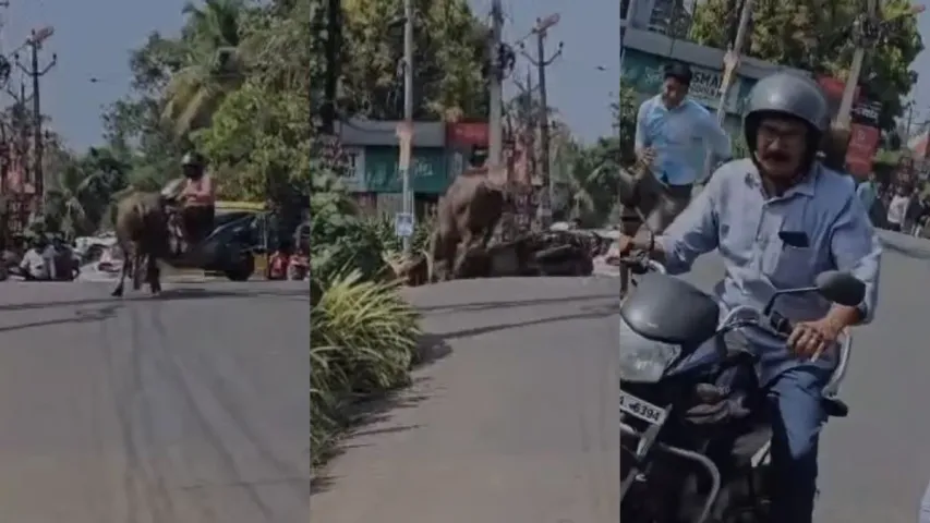 Viral Video: రోడ్డుపై గేదె ఉగ్రరూపం.. అతడిని ఈడ్చితన్నిన బఫెలో.. తర్వాత ఏం జరిగిందంటే?